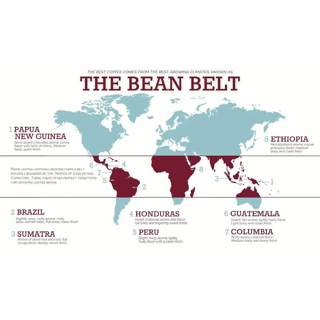 What is the coffee bean belt?