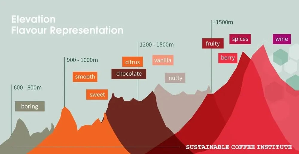 What Is Coffee Density?