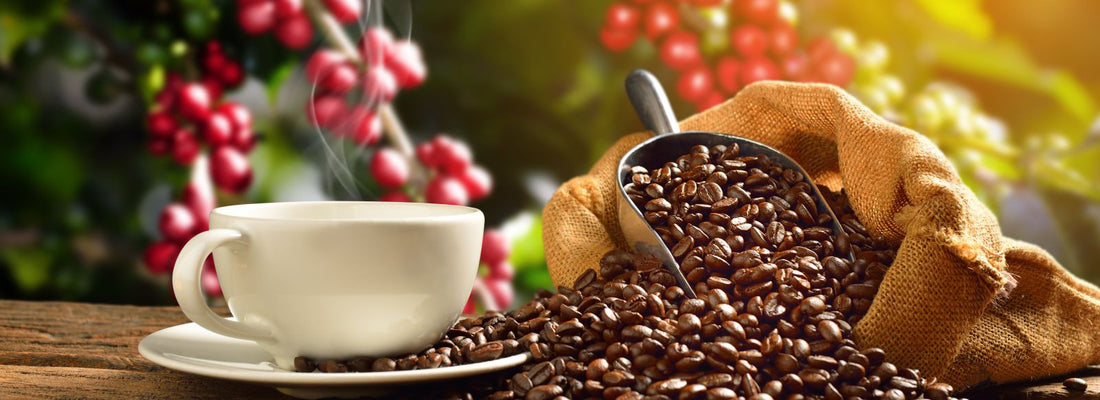 NY Arabica Coffee Sags on Technical Selling With 1-Week Low